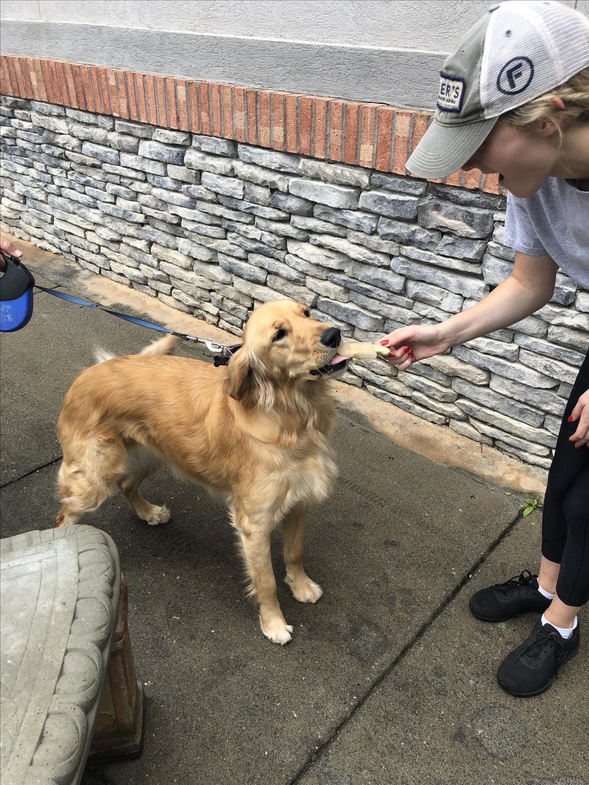 A dog enjoys an iced treat from The Corner Butcher Shop, a pet-friendly eatery in Canton, GA.