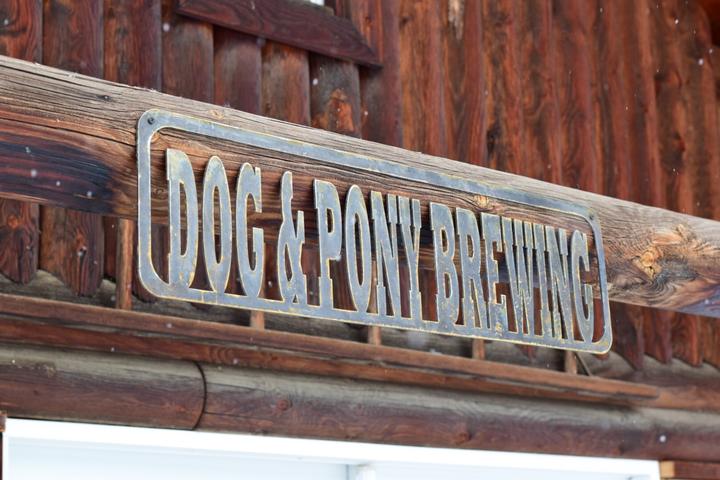 Pet Friendly Dog and Pony Brewing