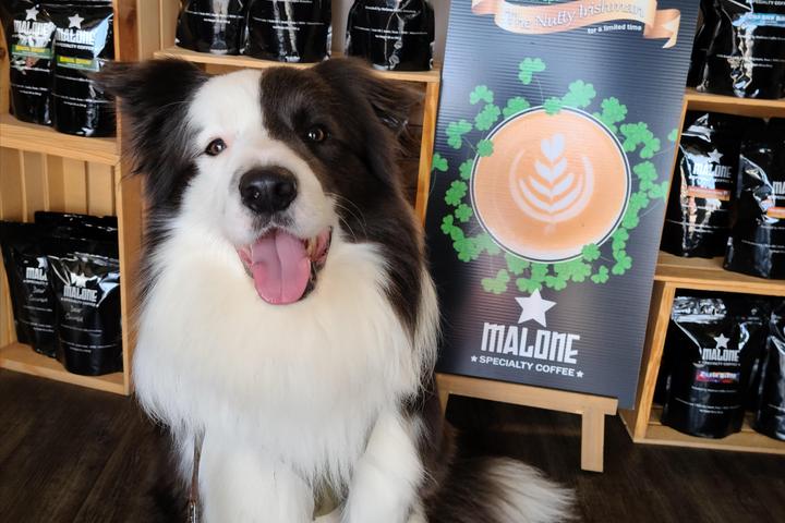 Pet Friendly Malone Specialty Coffee