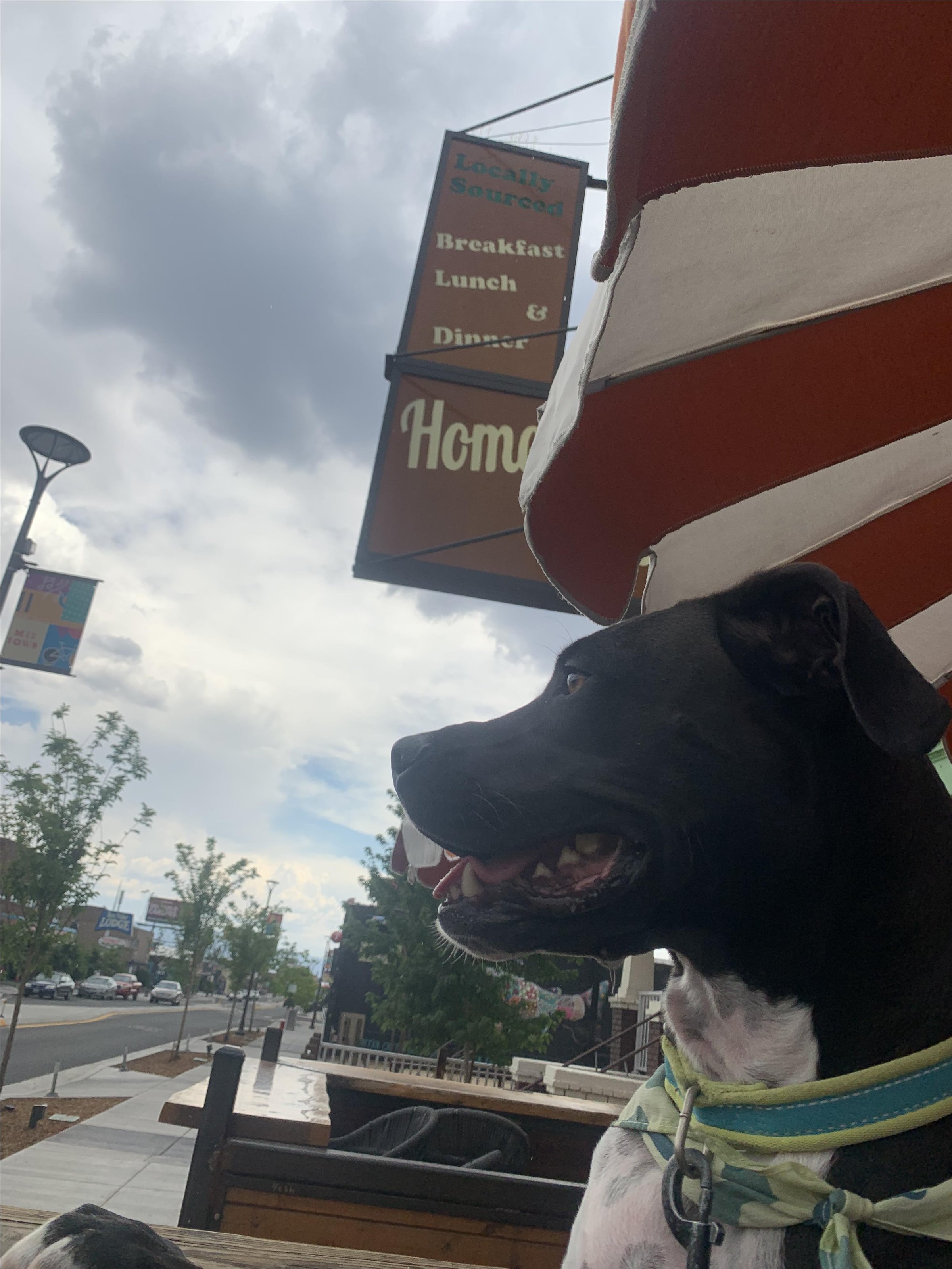 Photo of Homegrown Gastropub