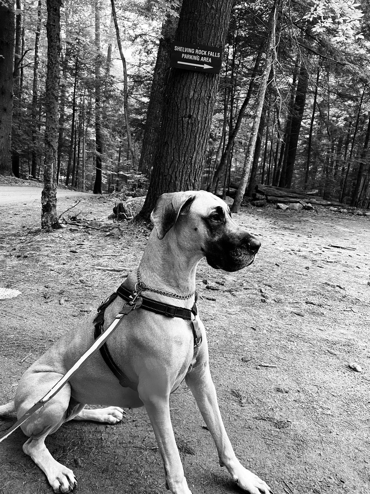 Shelving Rock Falls & Shelving Rock Summit