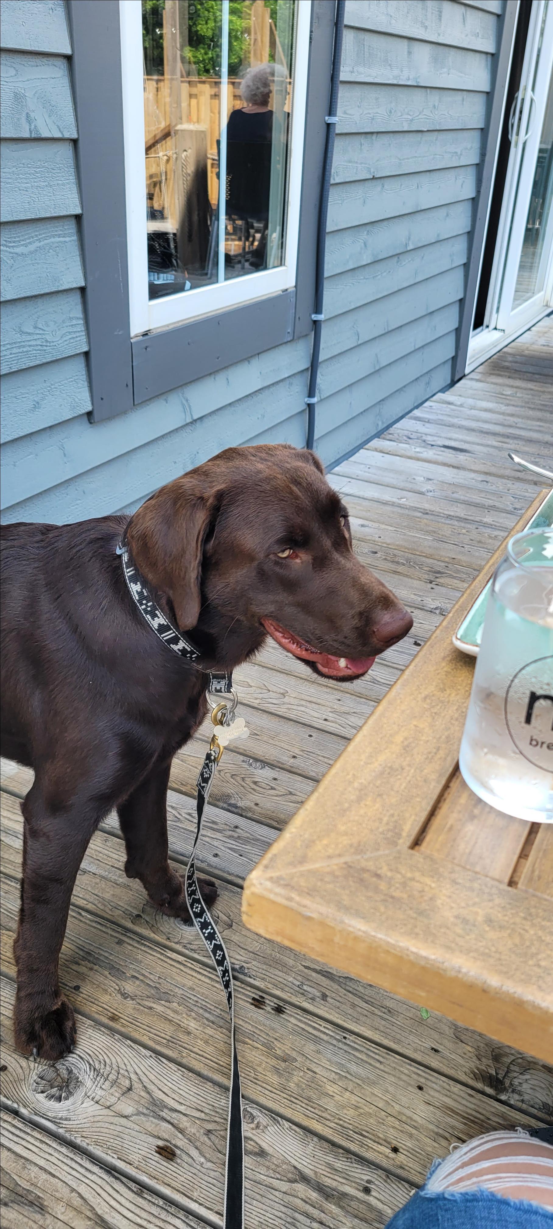 Pet Friendly The Nook and Cranny Brew Pub