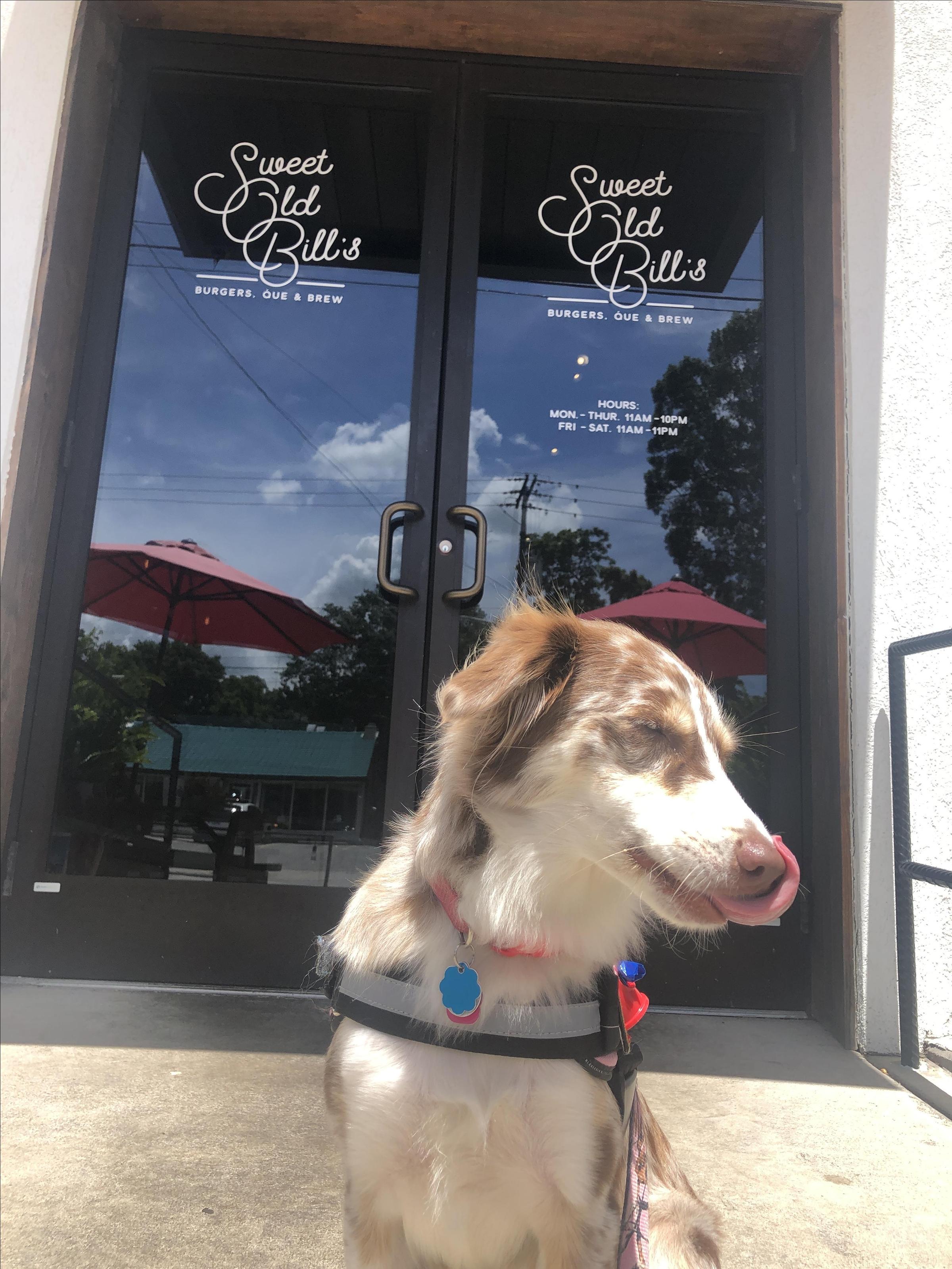 Pet Friendly Sweet Old Bill's