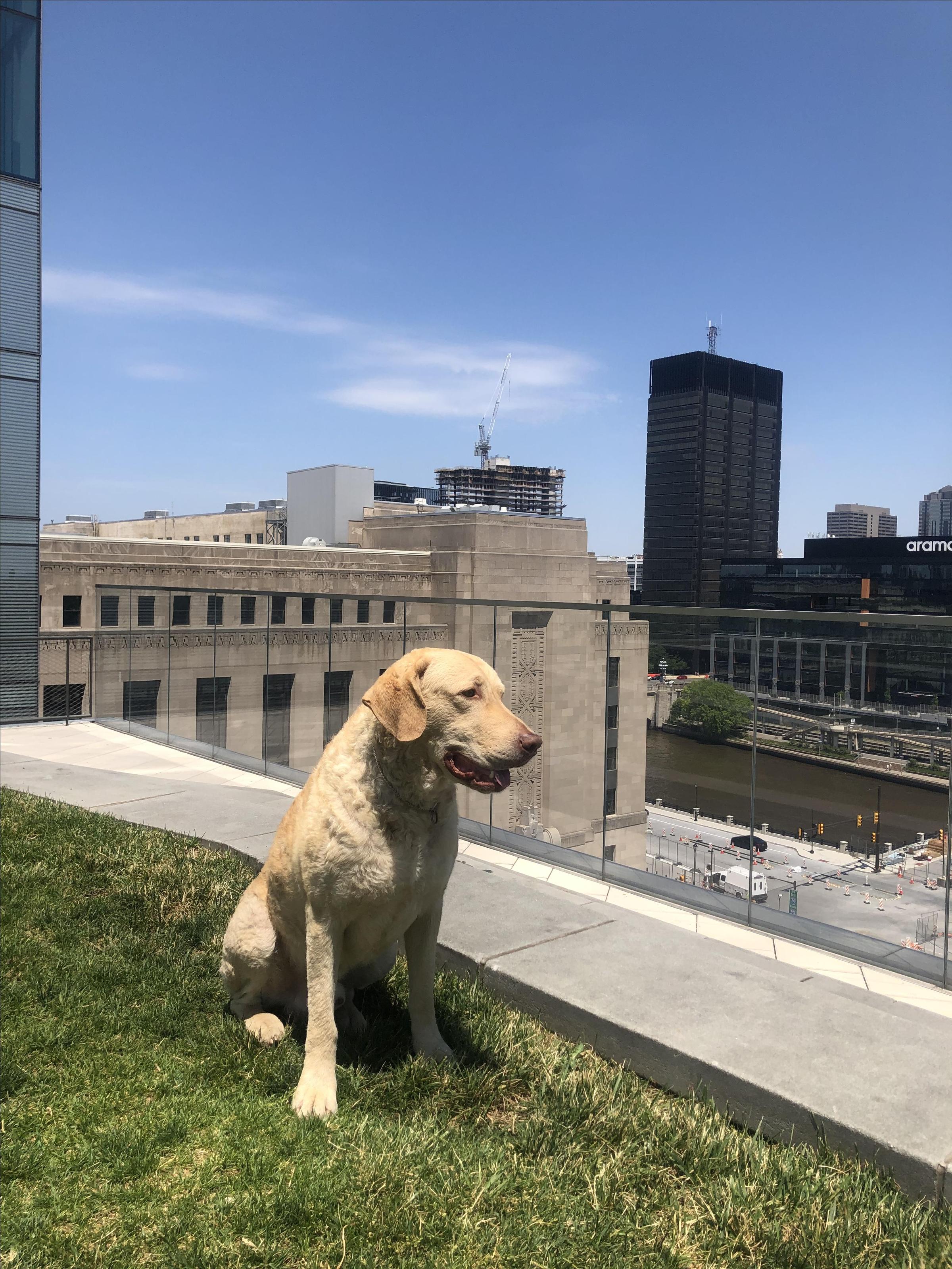 Cira Green