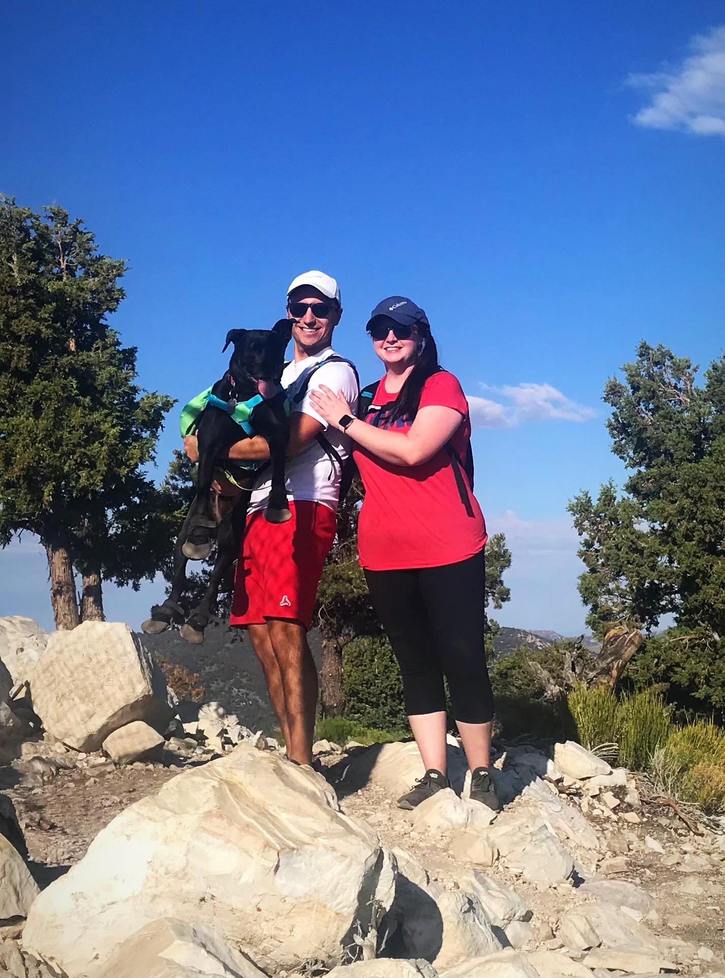 Dog Friendly Hiking Trails in Big Bear Lake CA BringFido