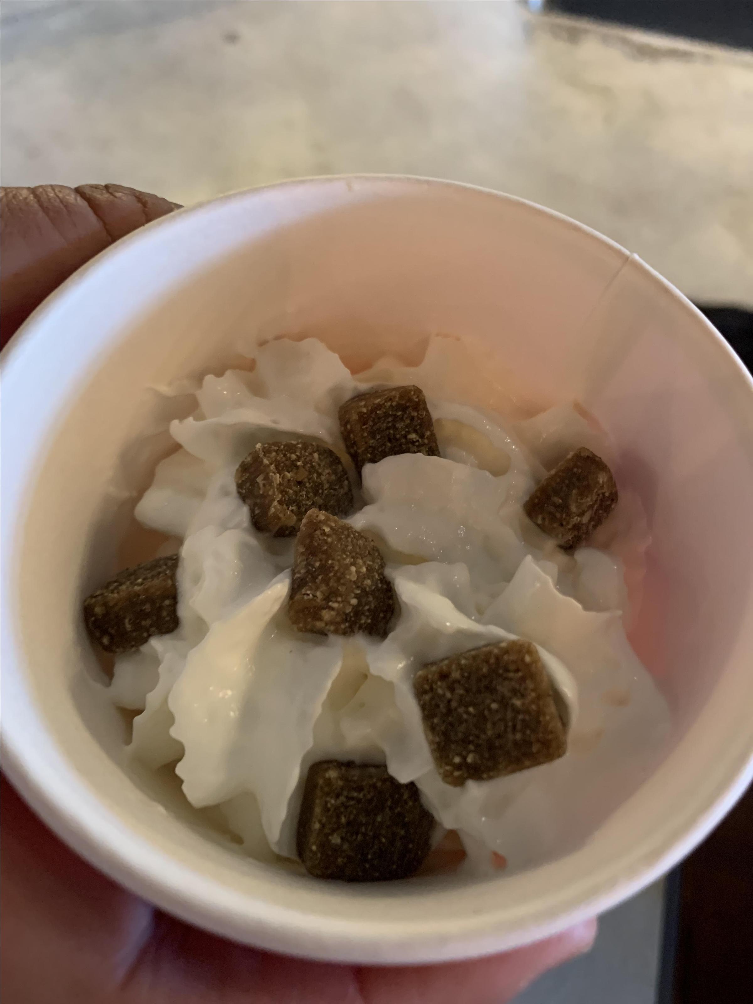 Pet Friendly Coastal Cups Coffee House