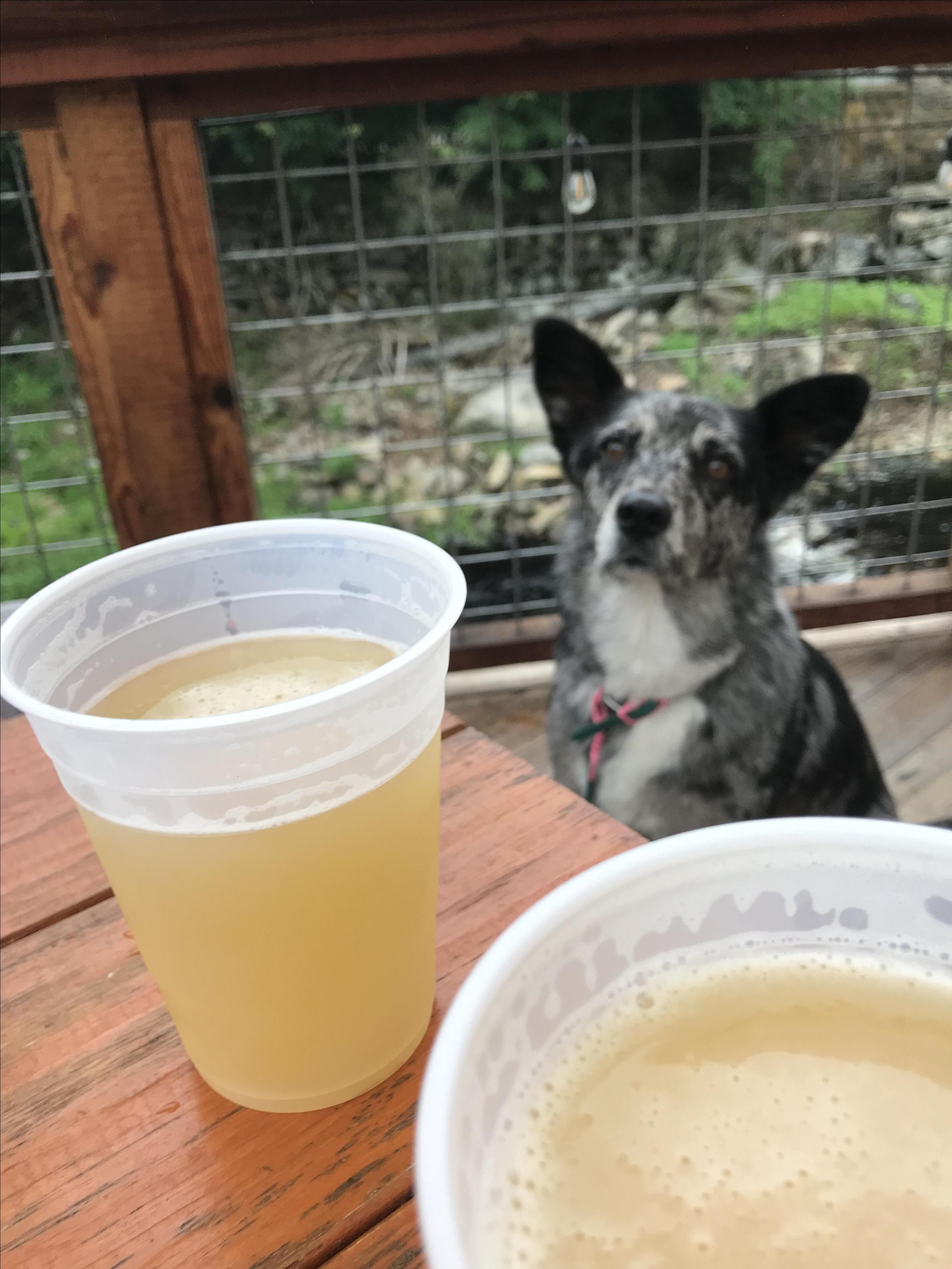 Shunock River Brewery and Village Cafe