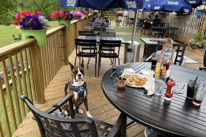 Pet Friendly Treehouse Pub & Eatery