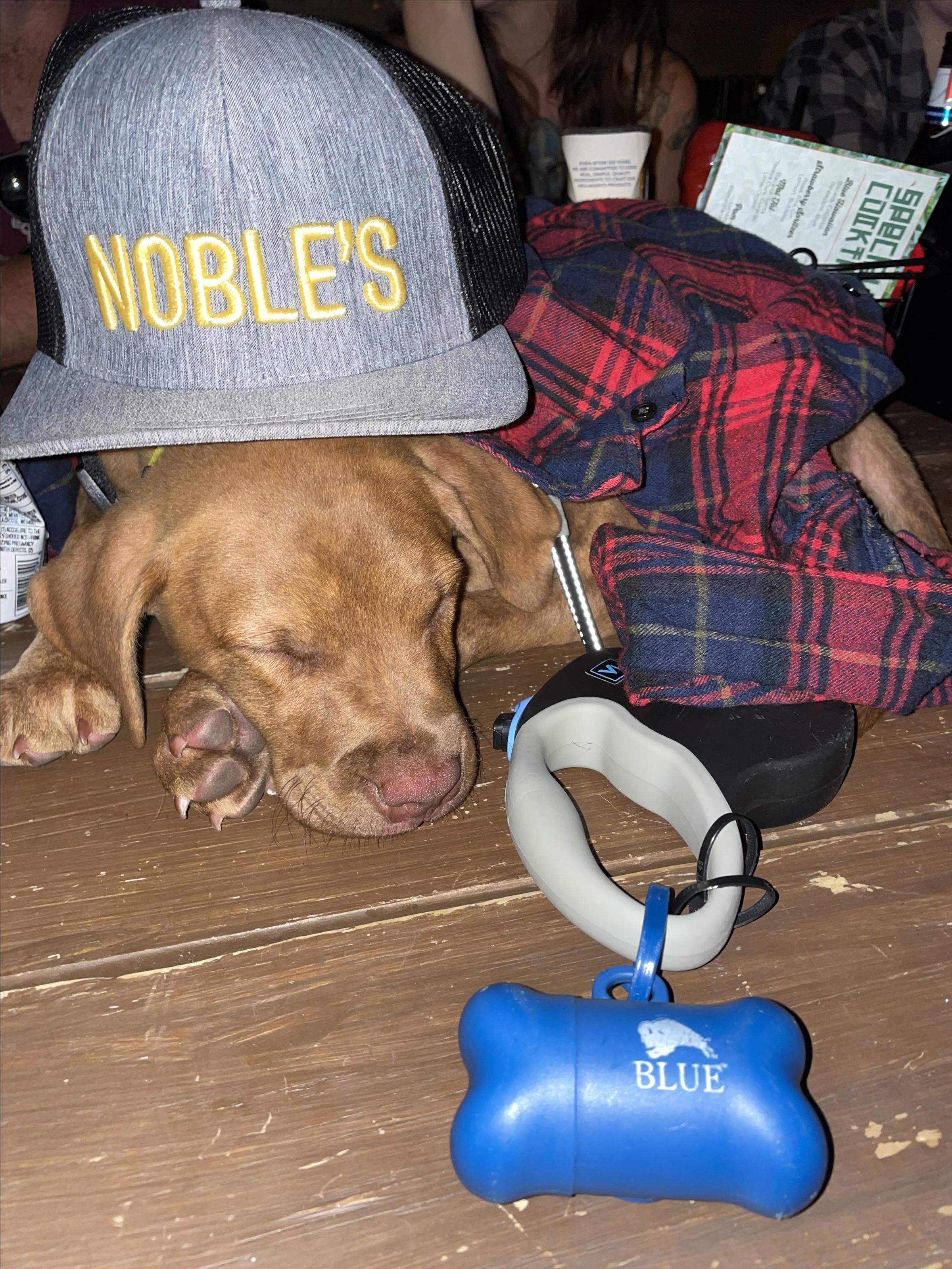Pet Friendly Noble's Kitchen and Beer