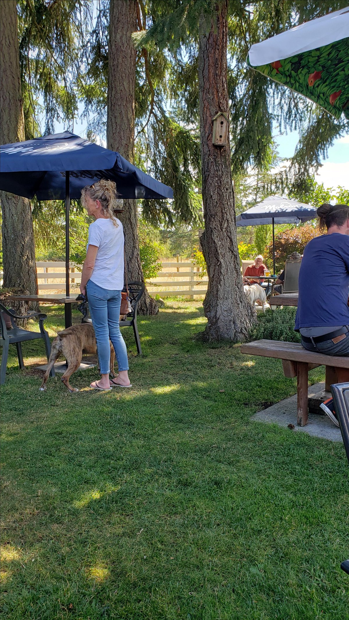 Diners enjoy the dog-friendly garden with their pooches at Nanoose Bay's "Rocking Horse Pub."