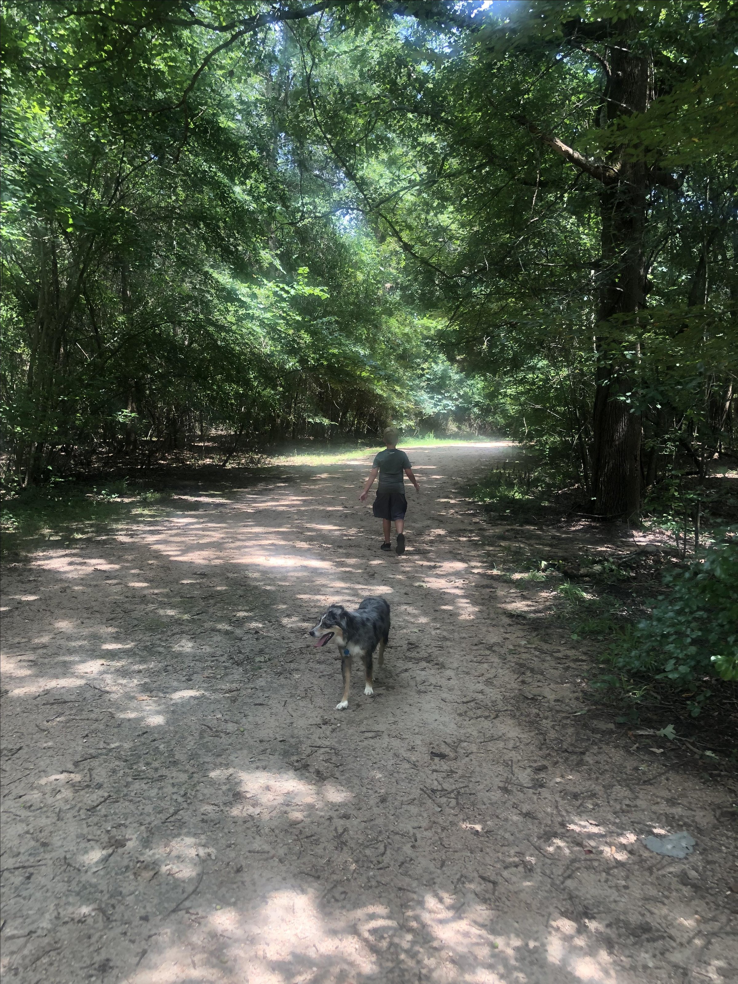 Pet Friendly Faulkner Park