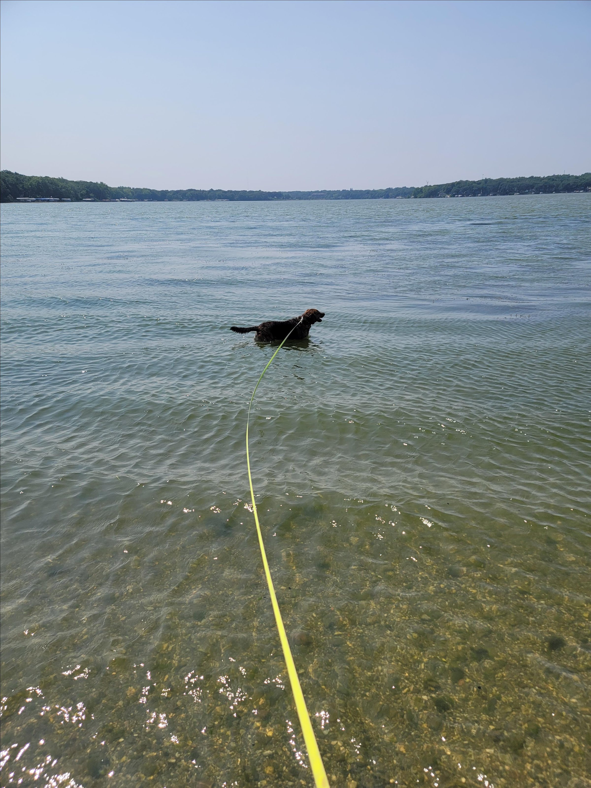Pet Friendly Isthmus Park