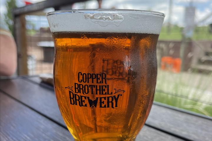 Pet Friendly Copper Brothel Brewery