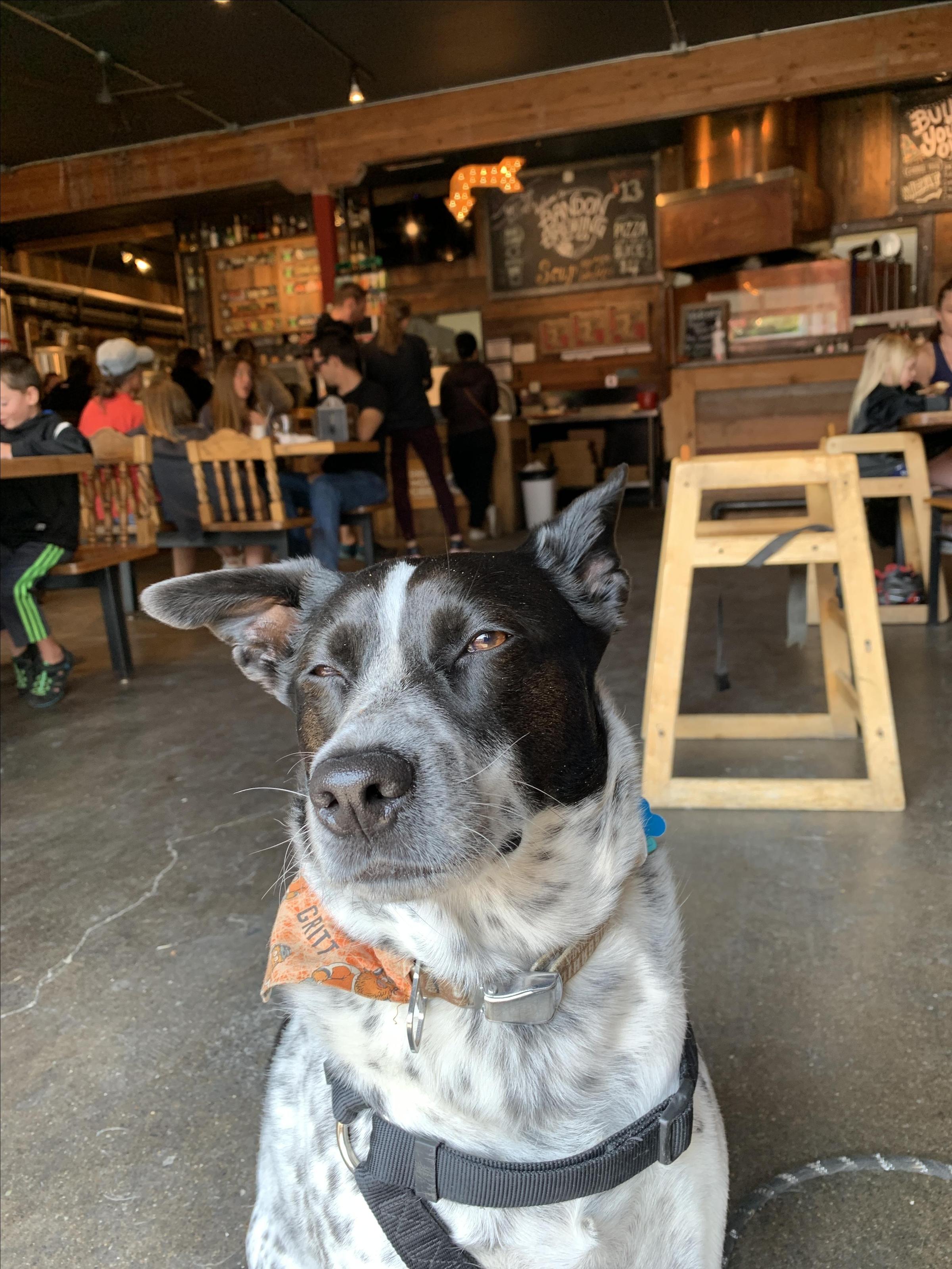 Bandon Brewing Company