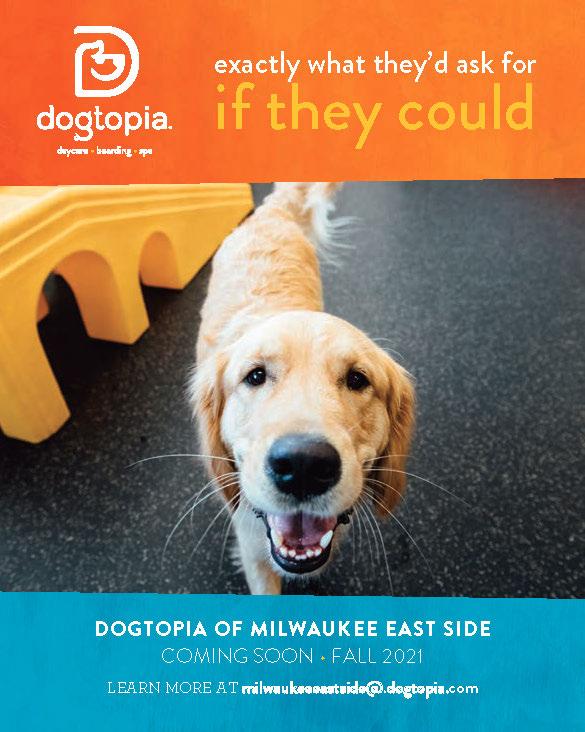 Pet Friendly Dogtopia of Milwaukee East Side