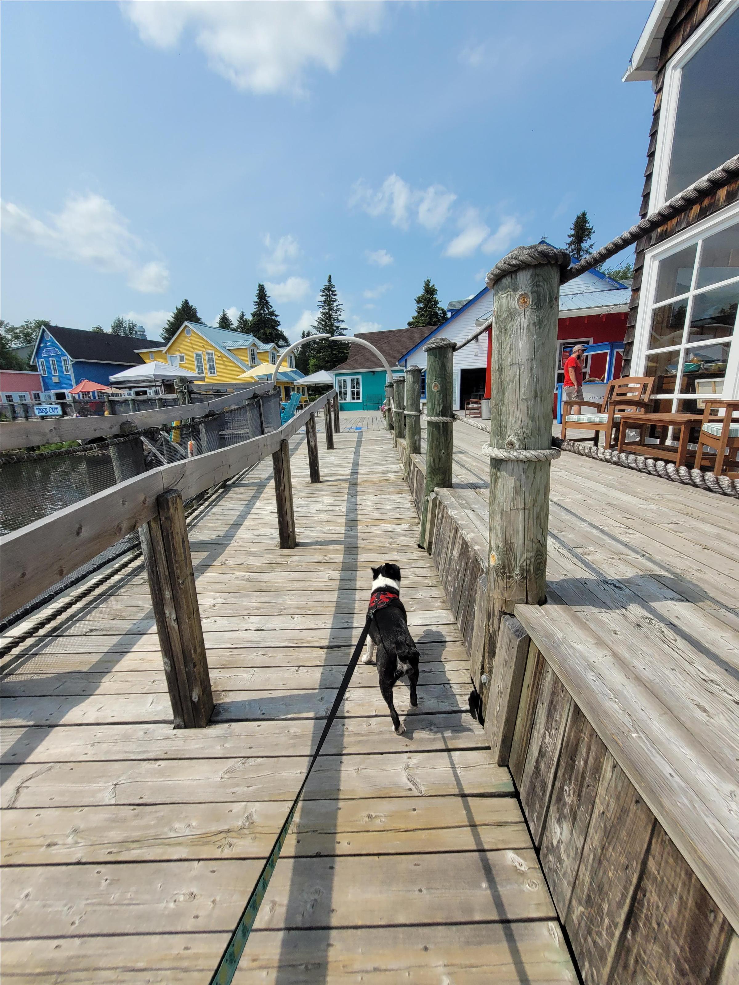 Pet Friendly Magnetic Hill Wharf Village