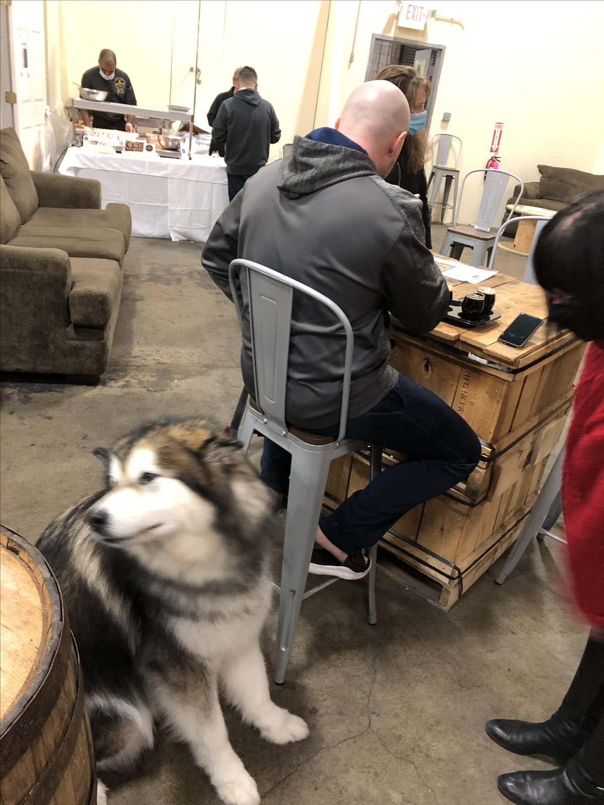 A dog sits in the taproom at dog-friendly Merrimack Ales in Lowell, MA.