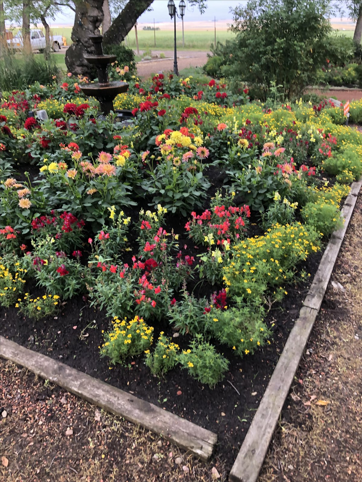 Pet-friendly Trochu Arboretum in Trochu, AB, features many vibrant blooms.