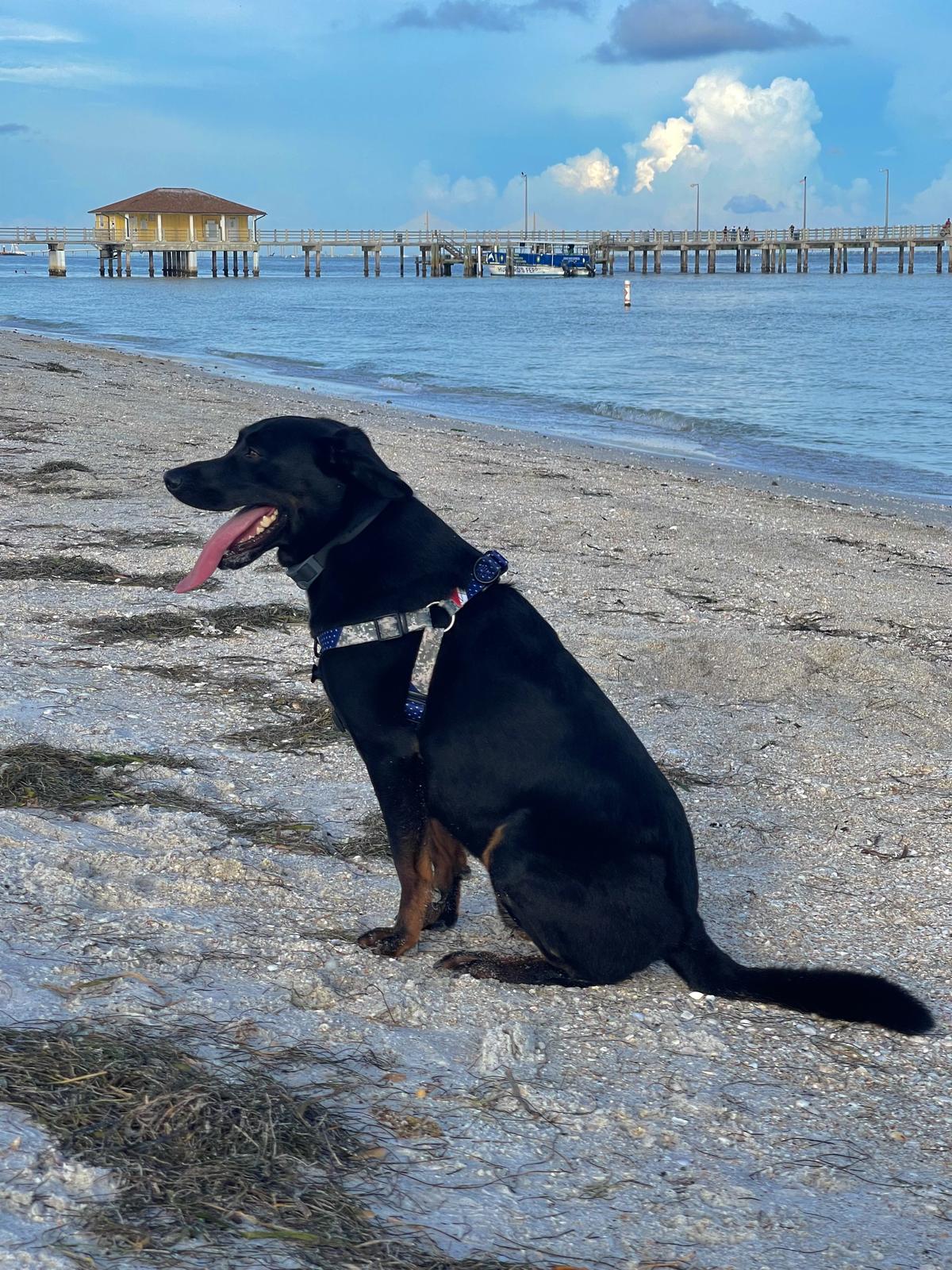 Fort DeSoto State Park