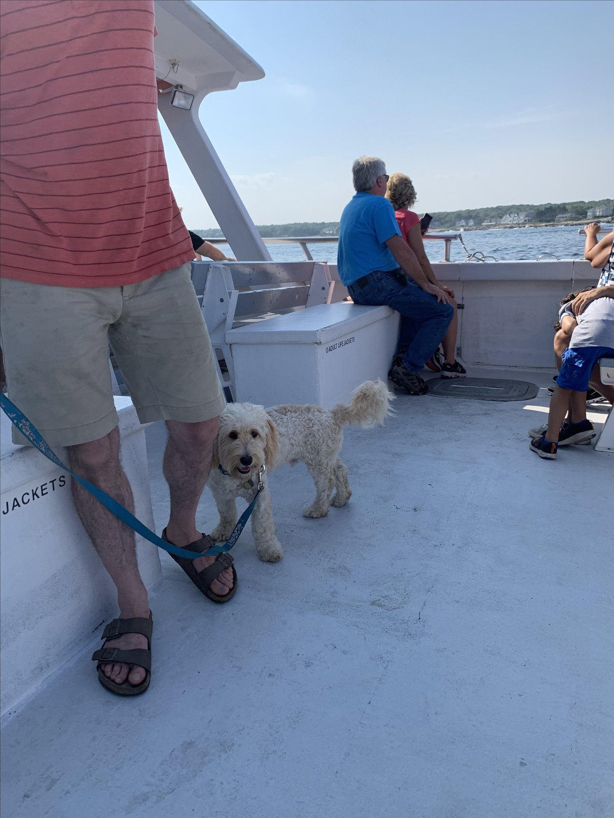 A dog explores the deck of "Nick's Chance" on a dog-friendly First Chance Whale Watch tour in Kennebunk, ME.