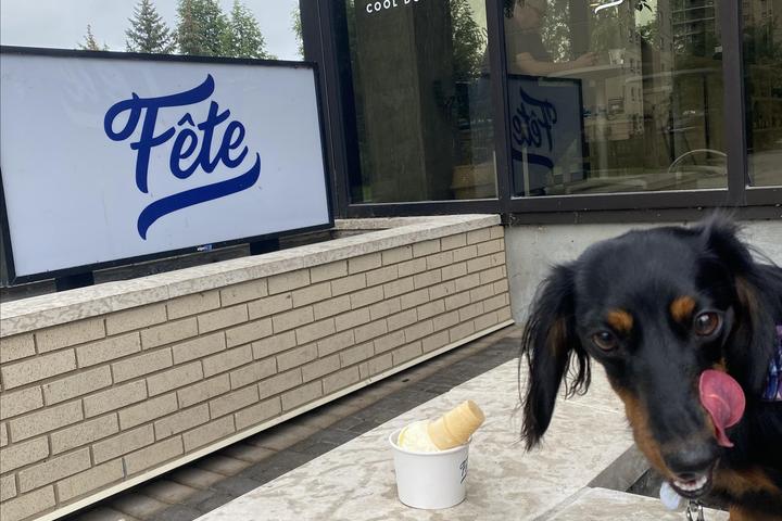 Pet Friendly Fête Ice Cream & Coffee