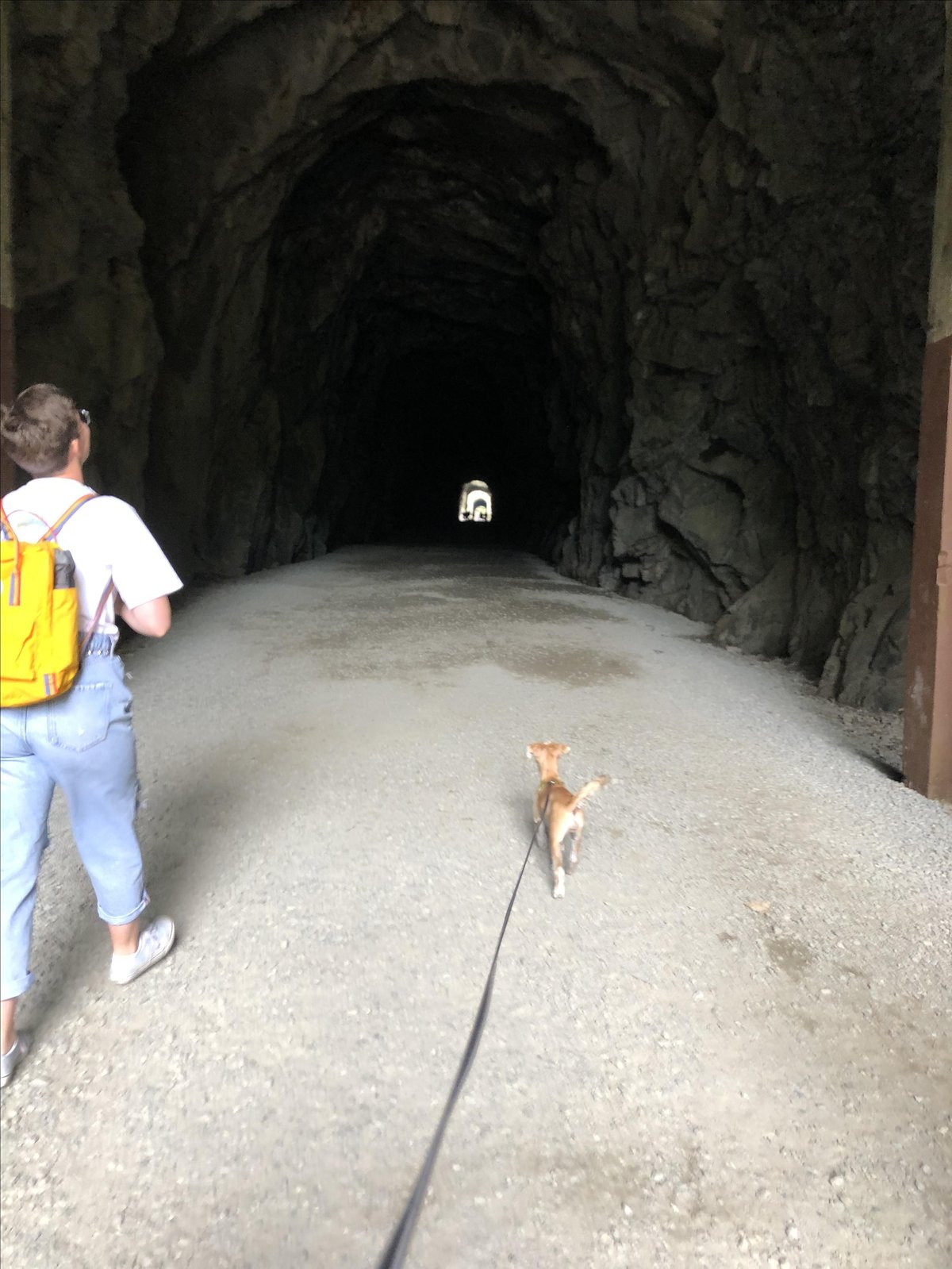 A stands at attention near the entrance to Othello Tunnels, a pet-friendly walking trail in Hope, BC.
