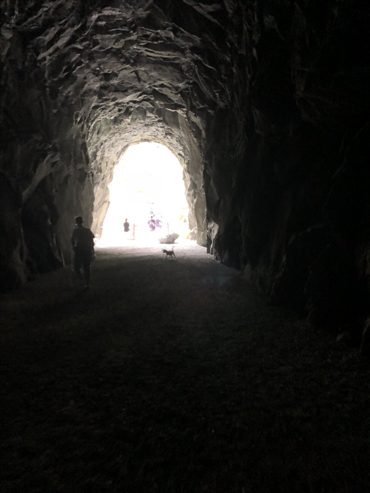 Photo of the railway corridor at dog-friendly Othello Tunnels in Hope, BC.
