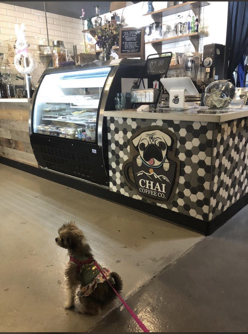 Dog Friendly Coffee Shops in Beaumont CA BringFido