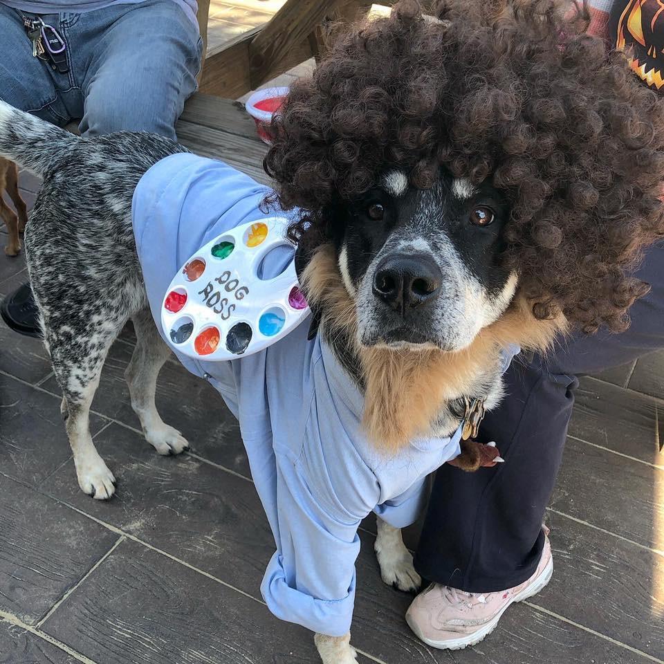 Red Dog's Bark or Treat at MadTree