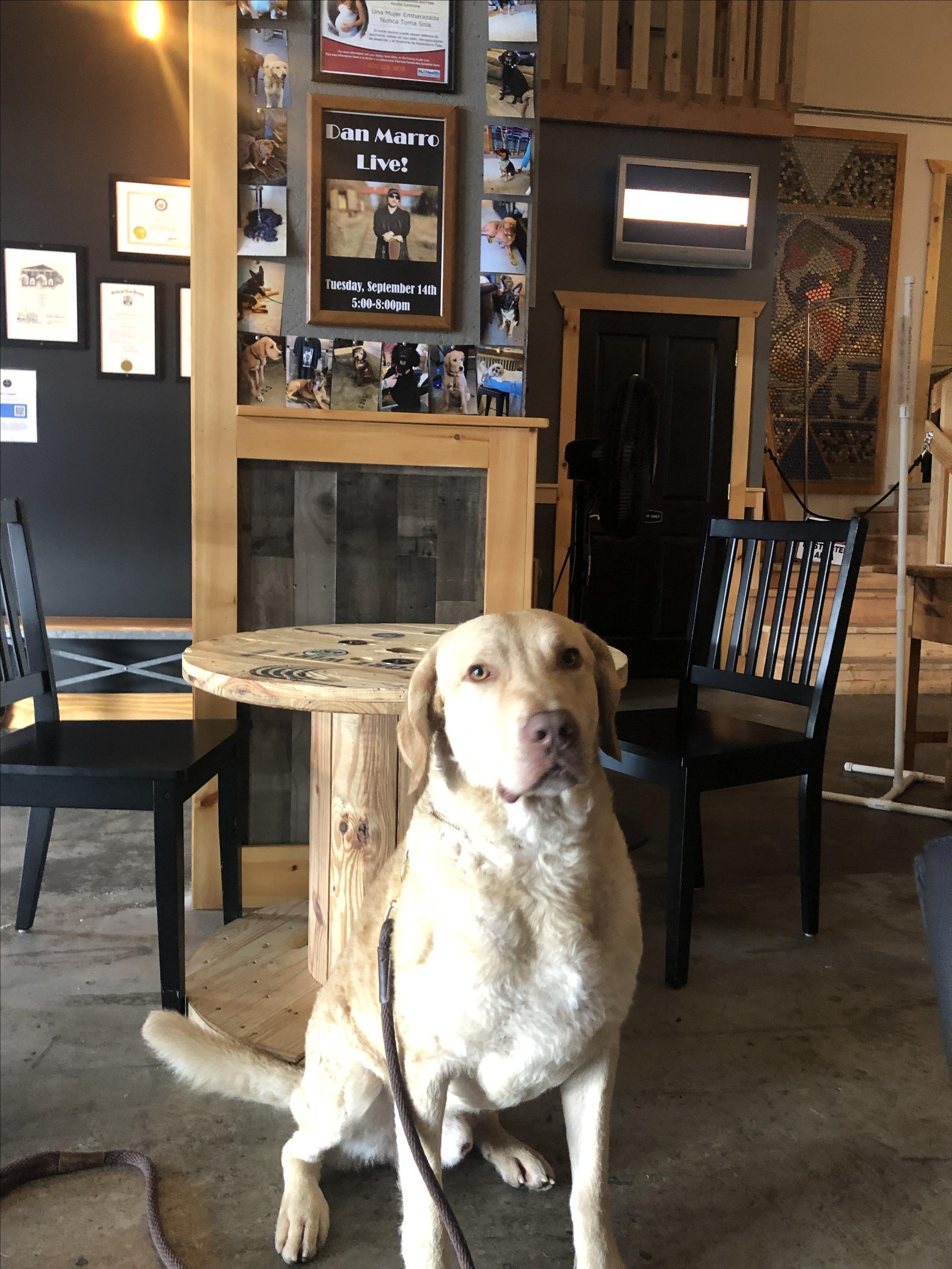 Pet Friendly Whale Tale Brewing Company