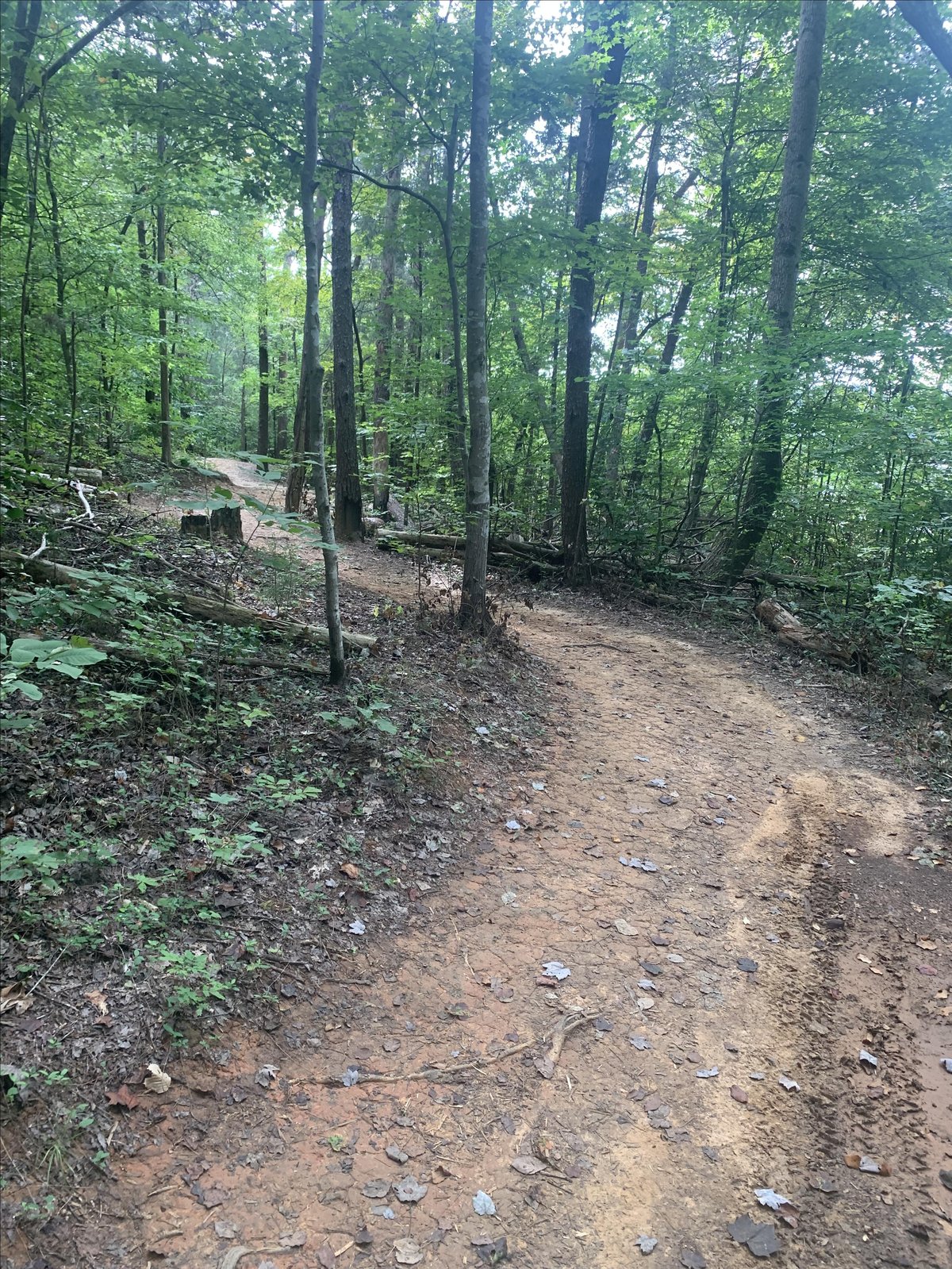 Lake Thom-A-Lex Park in Lexington, NC, is a pet-friendly natural attraction.