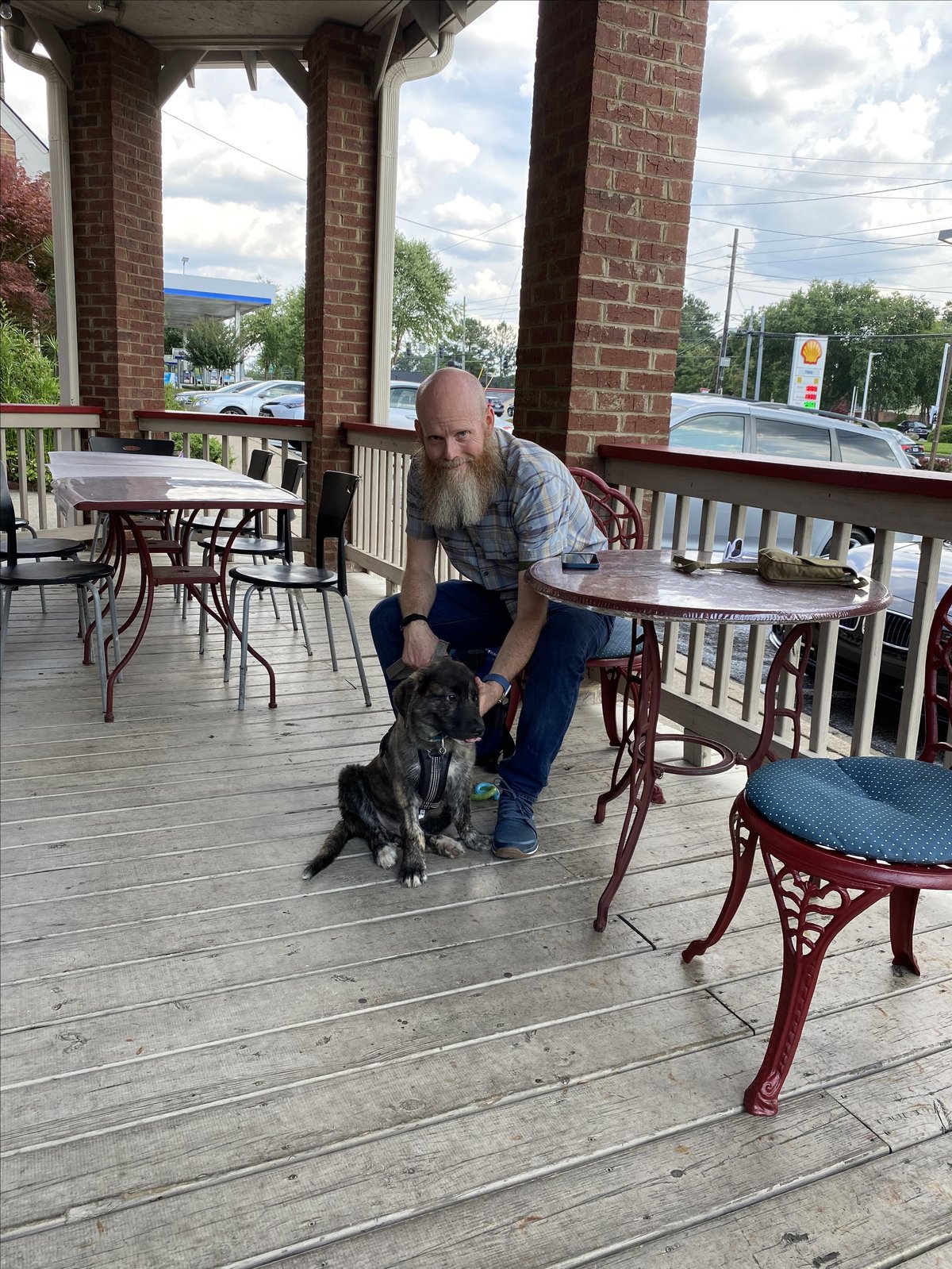 A dog sits on the pet-friendly patio at Loving Hut in Peachtree Corners, GA.