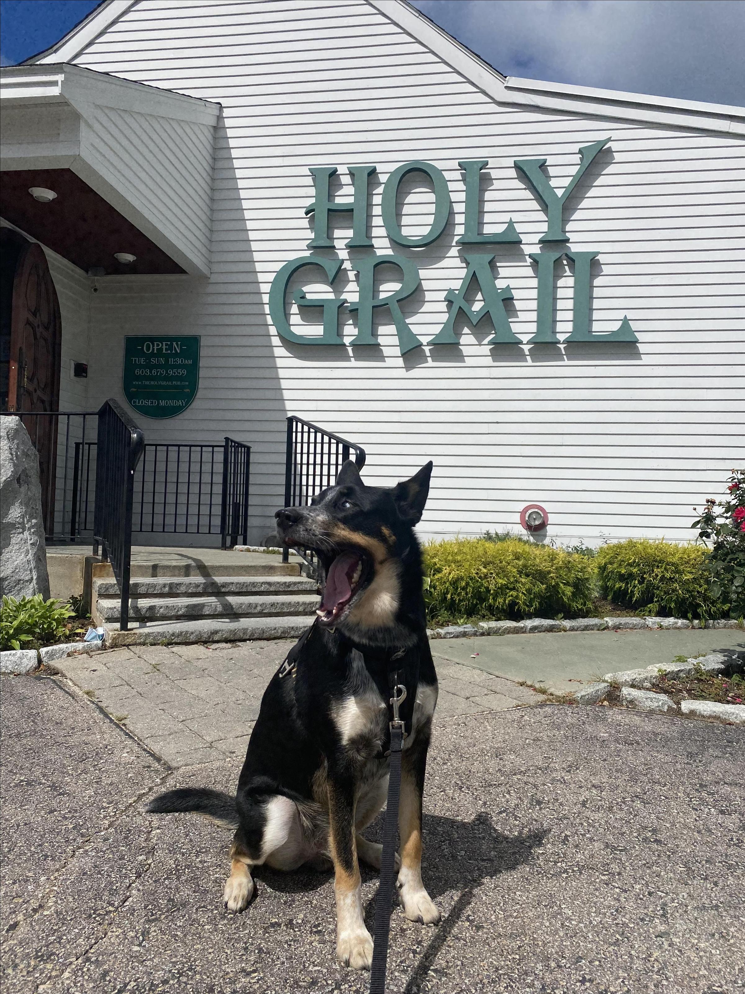 Pet Friendly Holy Grail Restaurant and Pub