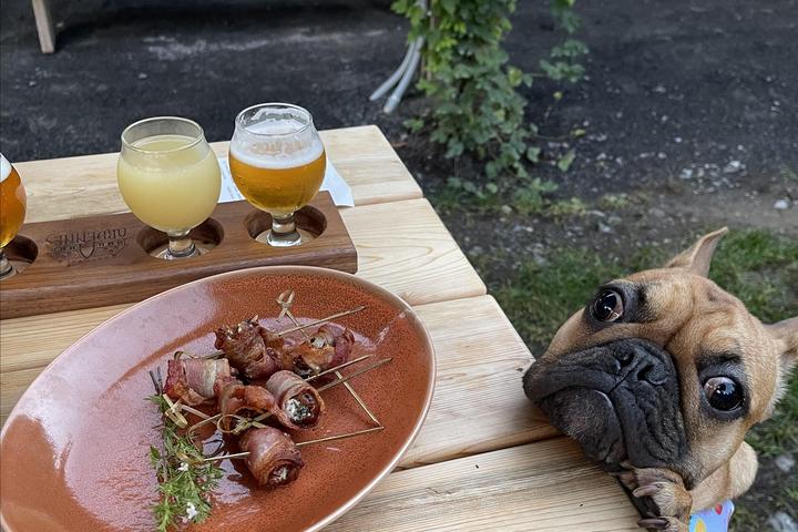 Pet Friendly Brewery Ardennes Taproom & Kitchen