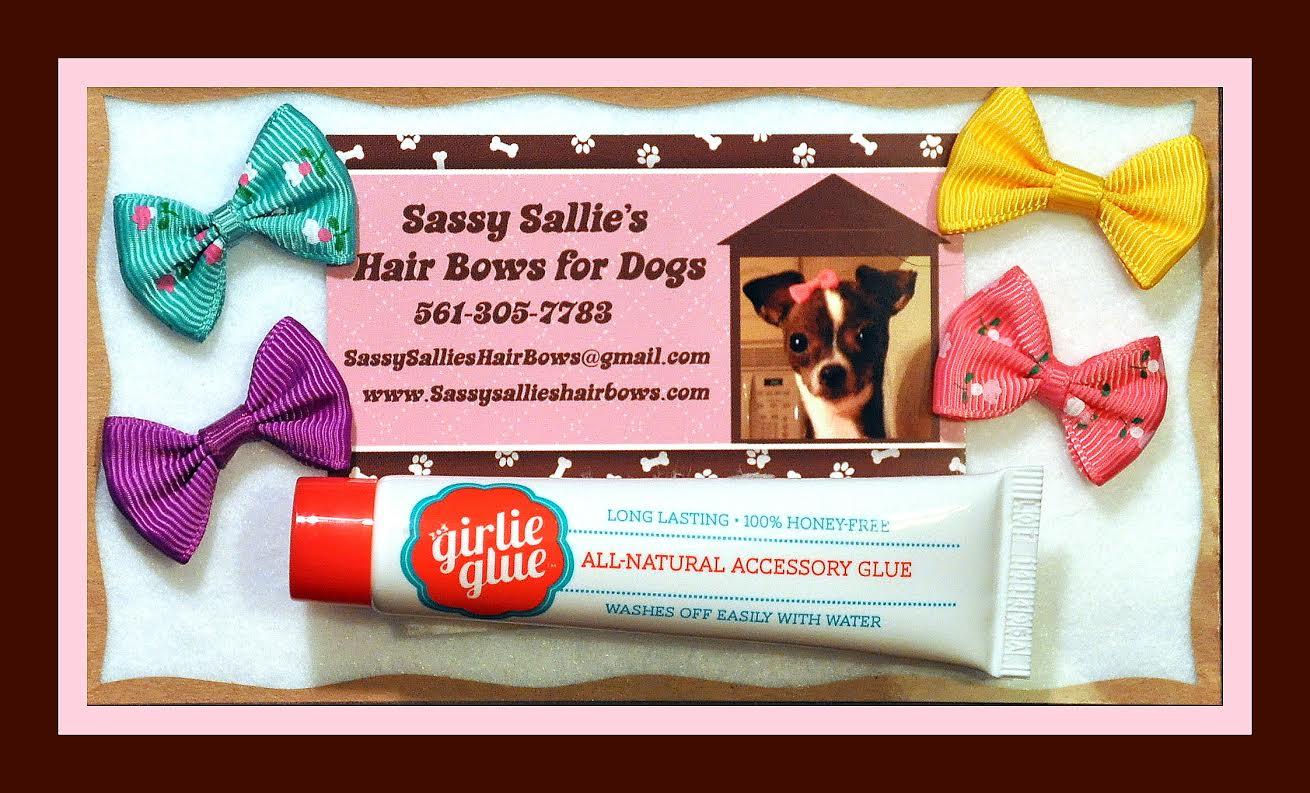 Pet Friendly Sassy Sallie's Hair Bows for Dogs