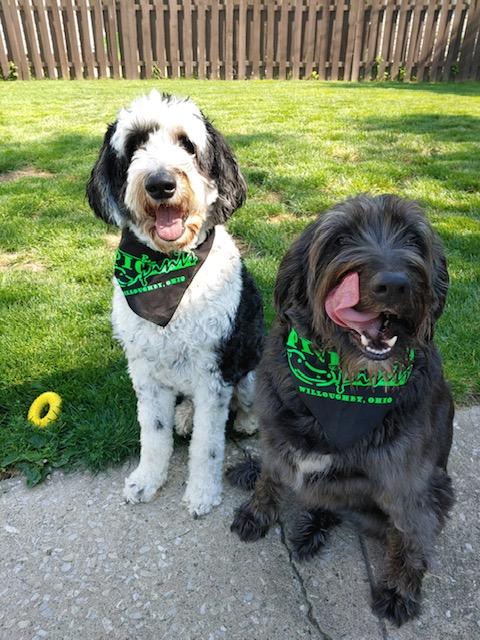 downtown willoughby bars and restaurants