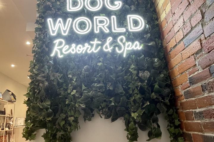 Pet Friendly Dog World Resort & Spa