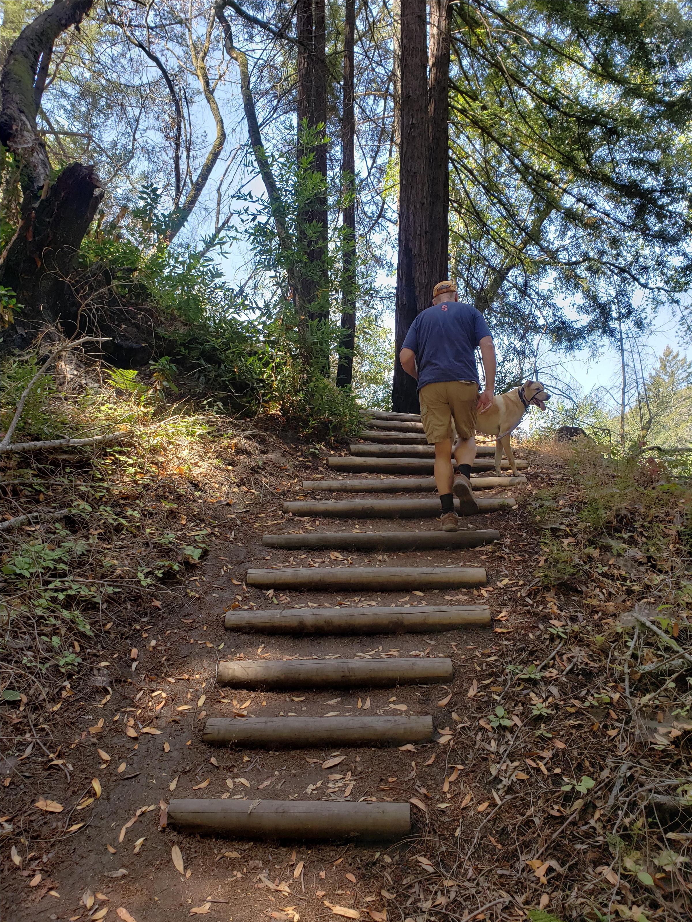 Dog Friendly Hiking Trails in Yountville, CA - BringFido