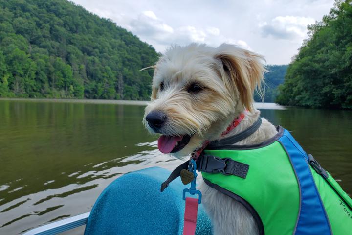 Pet Friendly Hungry Mother State Park