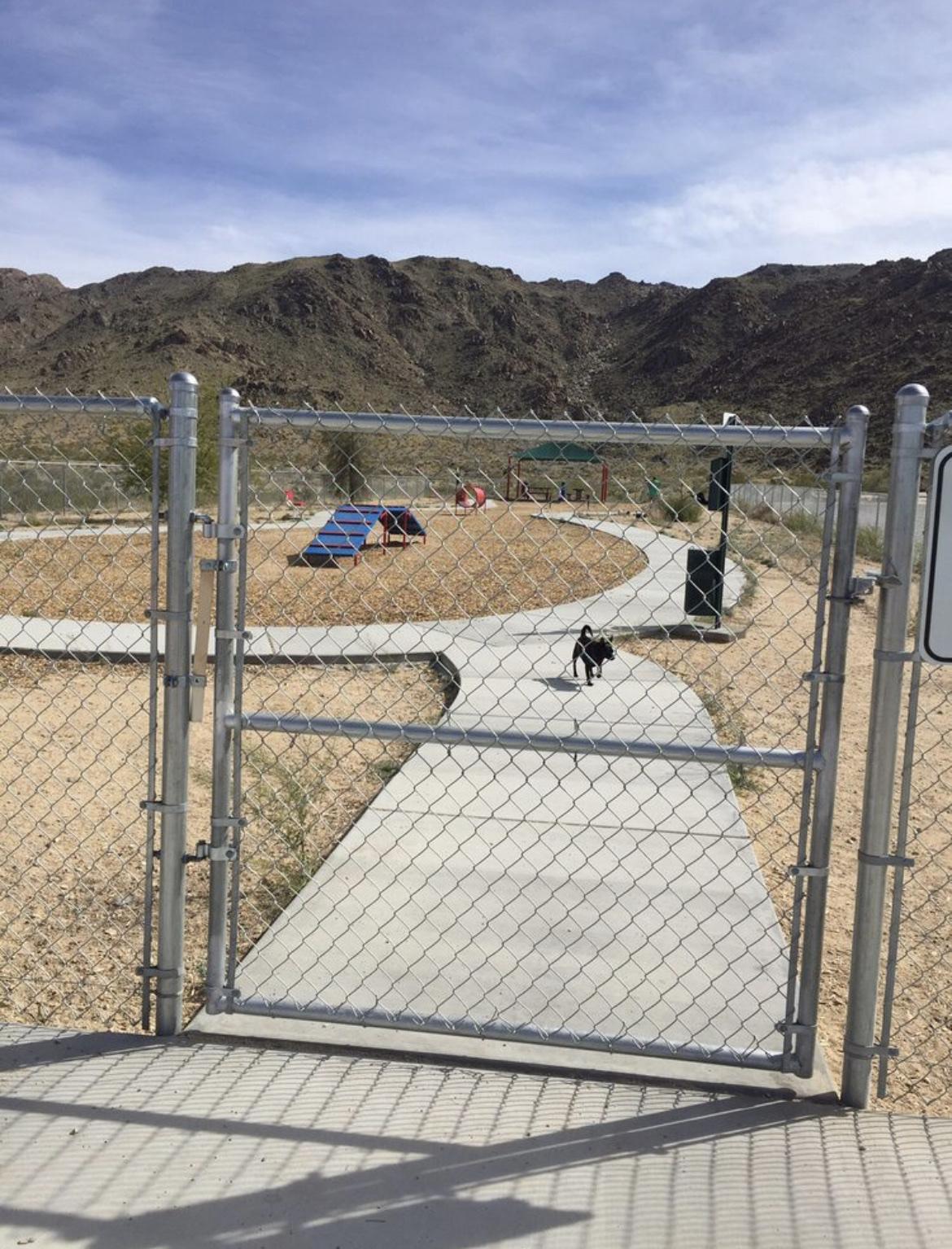 Dog Friendly Activities in Twentynine Palms CA BringFido