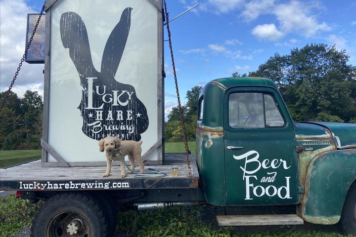 Pet Friendly Lucky Hare Brewing Company