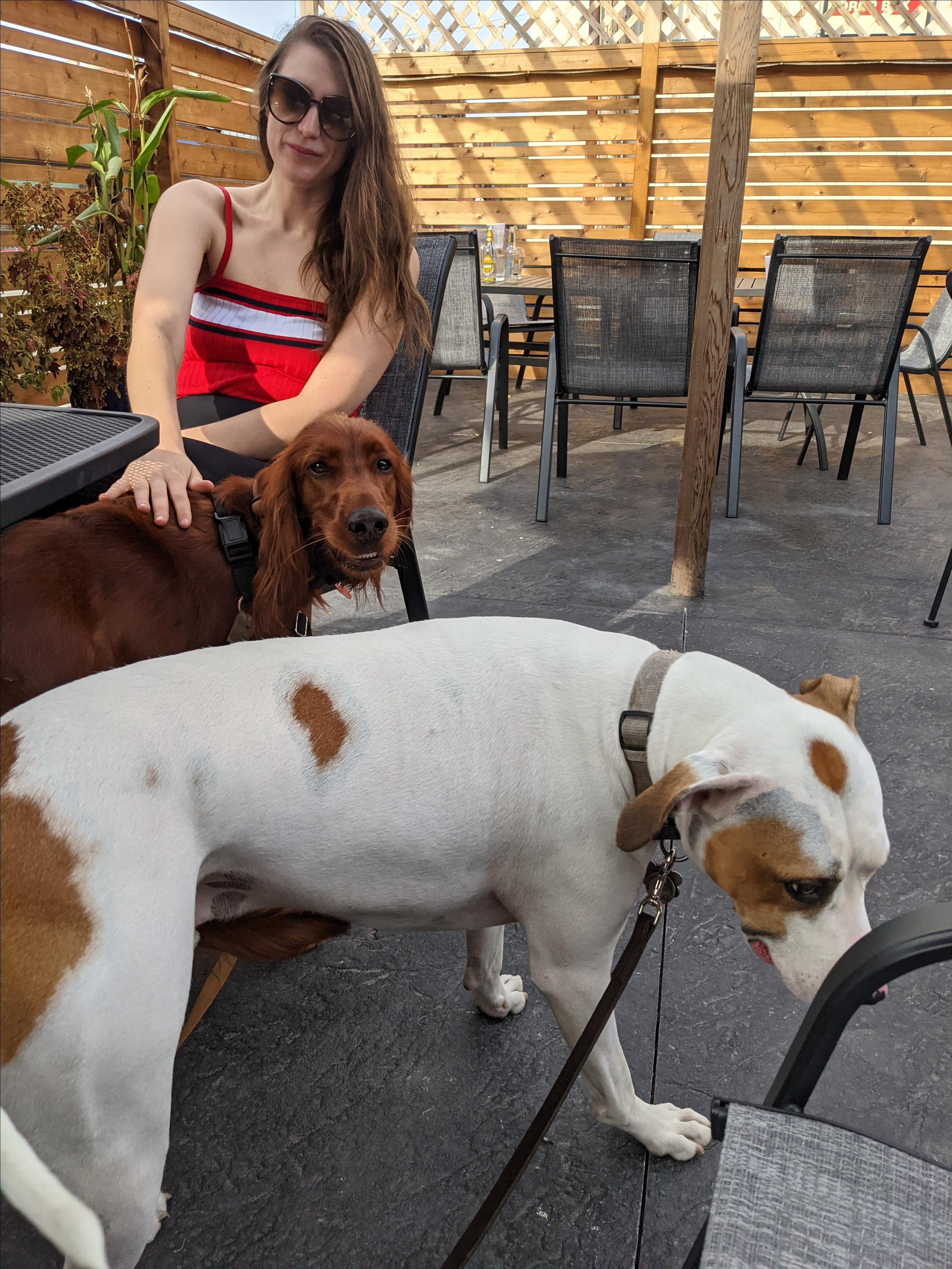 Pet Friendly Port 507