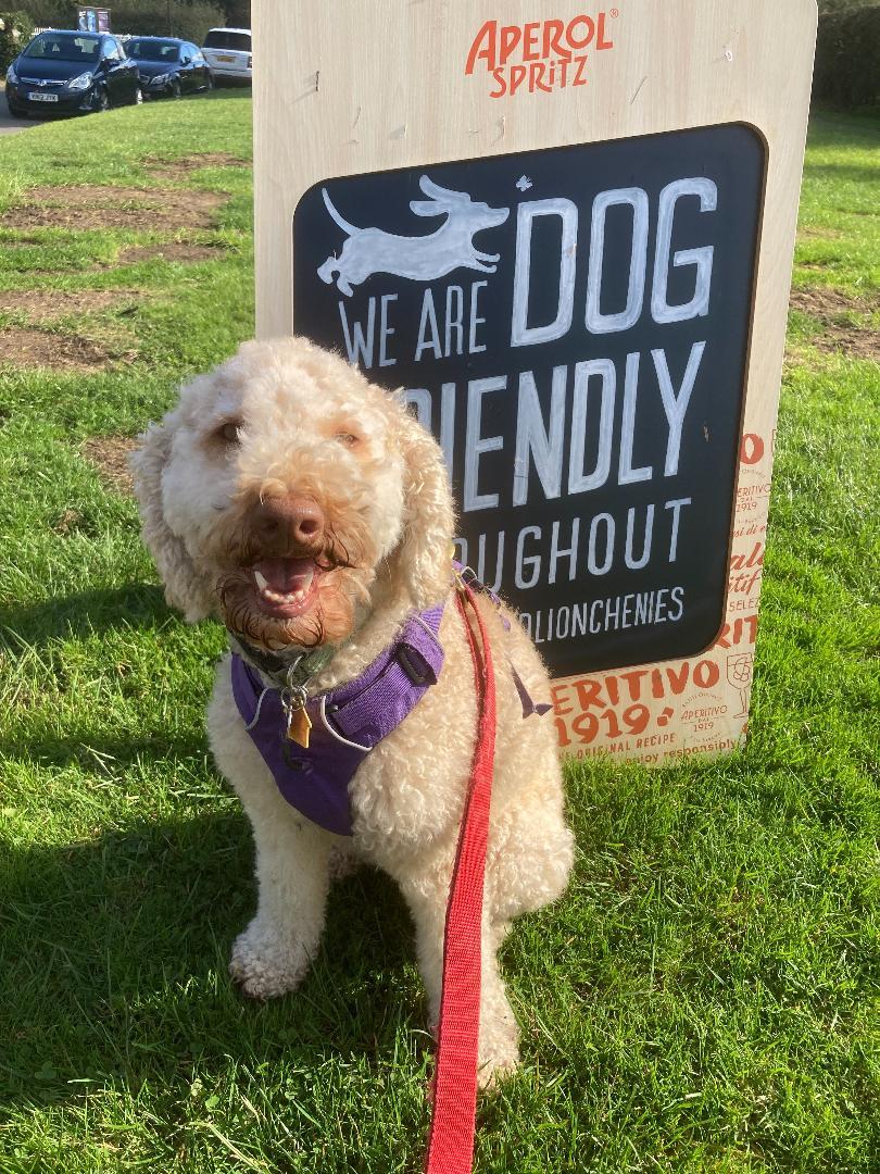 Dog Friendly Restaurants in Hounslow UK BringFido