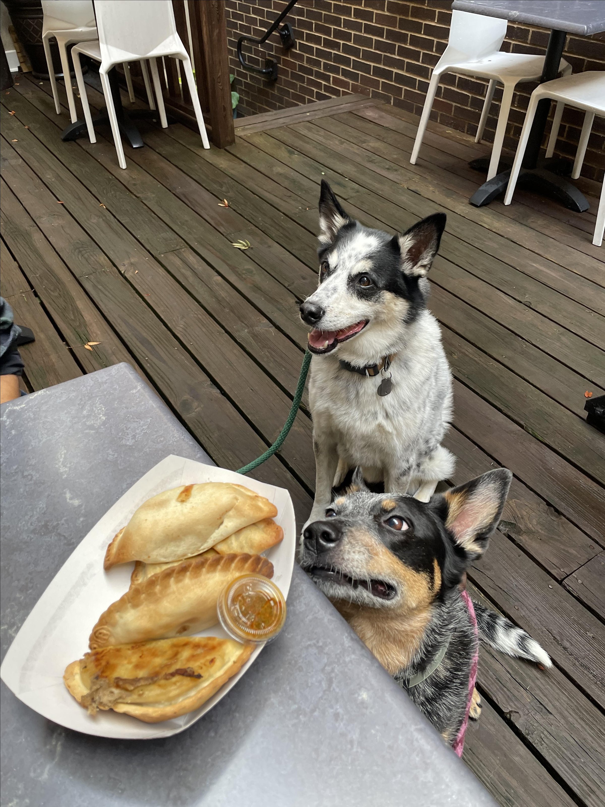 Photo of Empanada Gourmet
