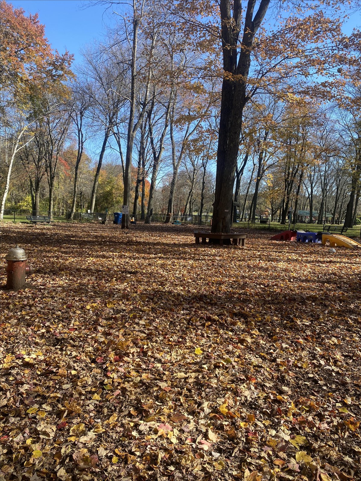 Picture of the dog park at dog-friendly Heritage Park in East Longmeadow, MA.