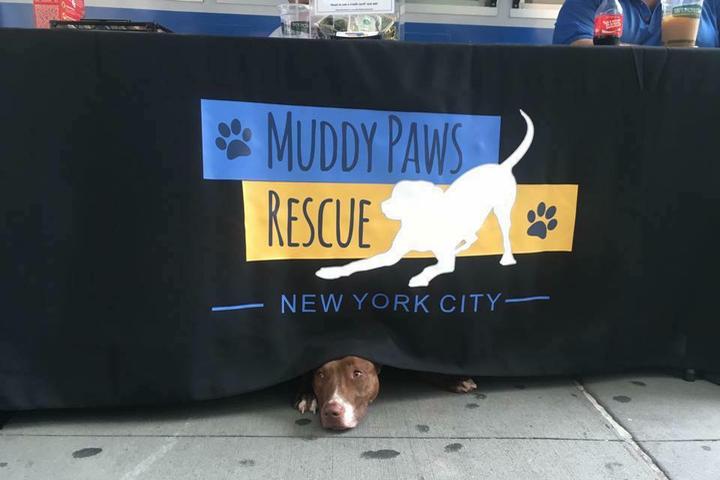 Pet Friendly Muddy Paws Rescue