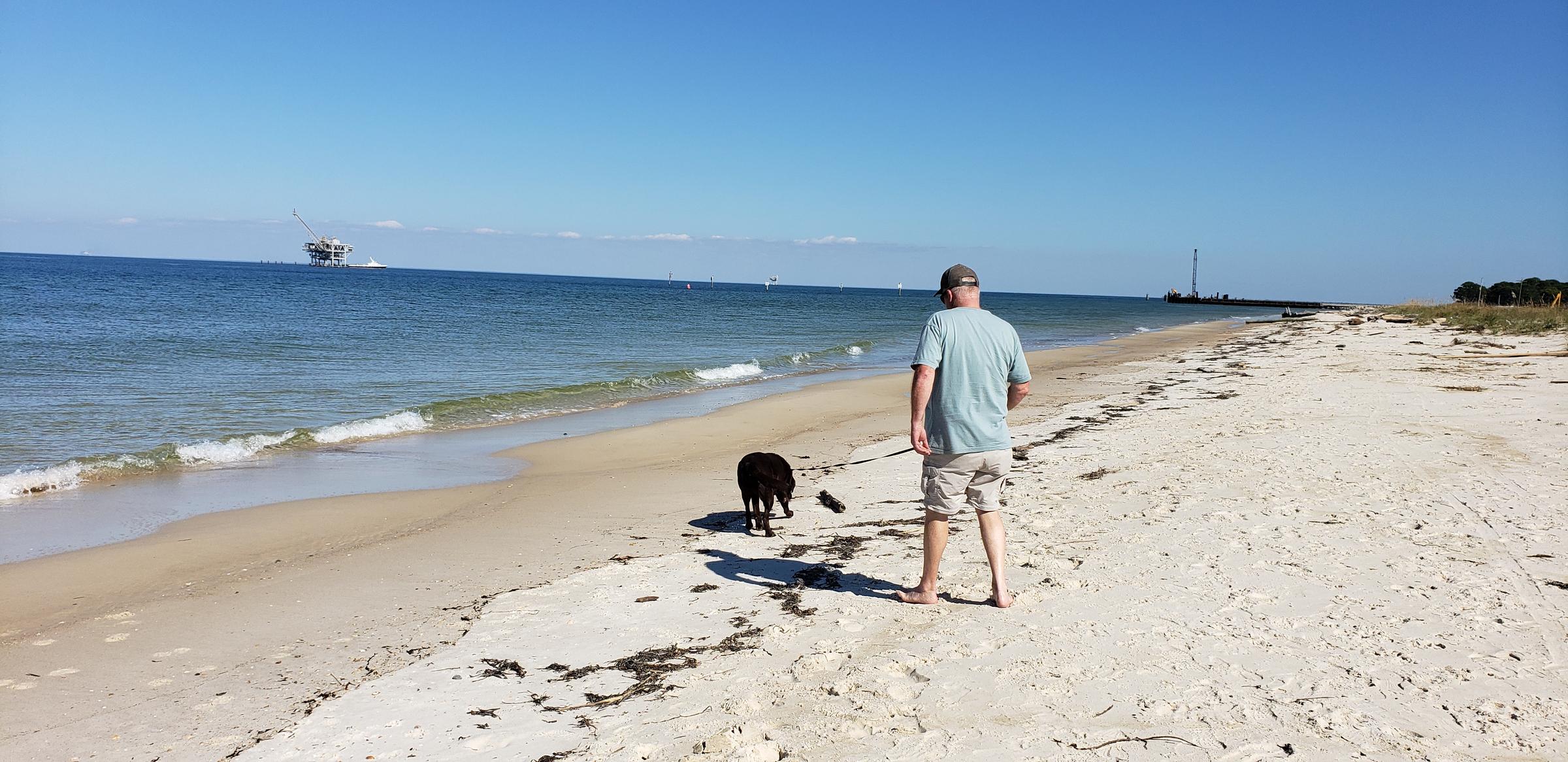 are dogs allowed at hamburg beach