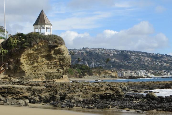 Pet Friendly Shaws Cove Beach