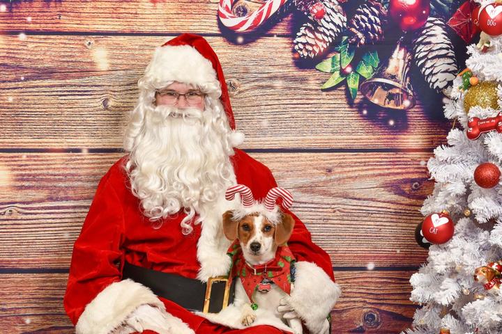 Pet Friendly Red Dog's Santa Paws at MadTree