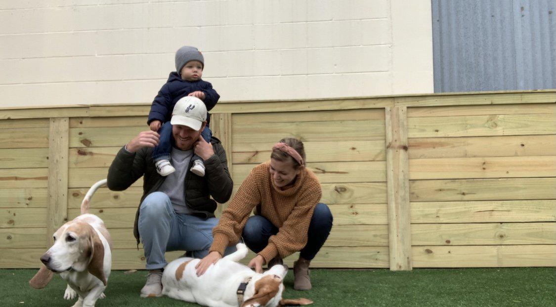 Good dog clearance boarding